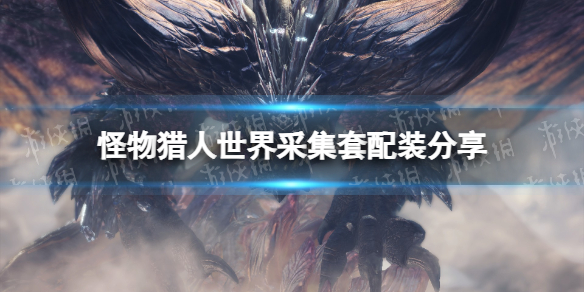 《怪物猎人世界》采集套配装分享