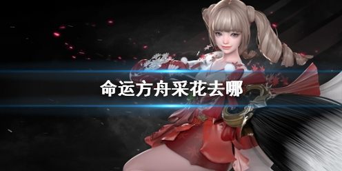 《命运方舟》采花位置介绍