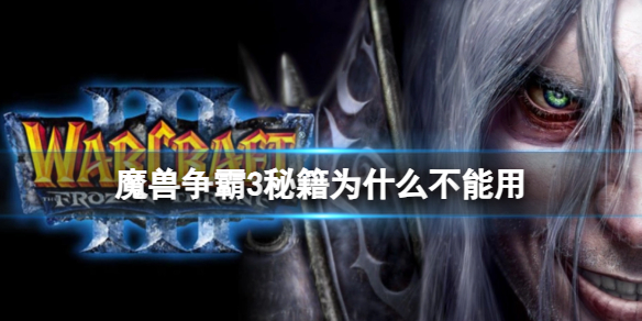 《魔兽争霸3》秘籍使用不了原因介绍