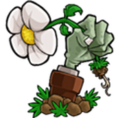 植物大战僵尸仿e安卓版