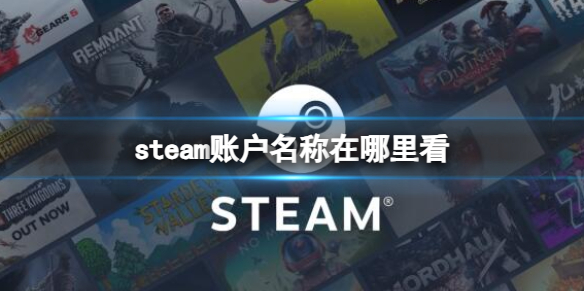 《steam》账户名称查看位置介绍