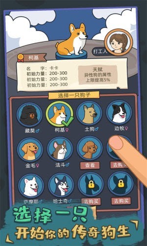 你好狗好喜欢游戏最新版