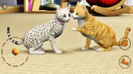 猫咪想恋爱最新版