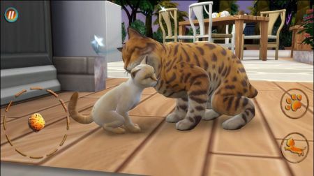 猫咪想恋爱最新版