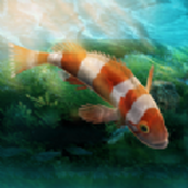 水族设计师版