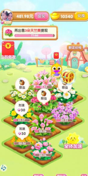 四季养花安装