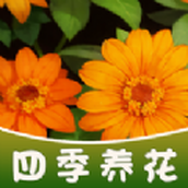 四季养花安装