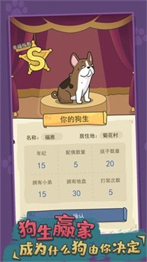 狗生模拟器MOD下载手机版