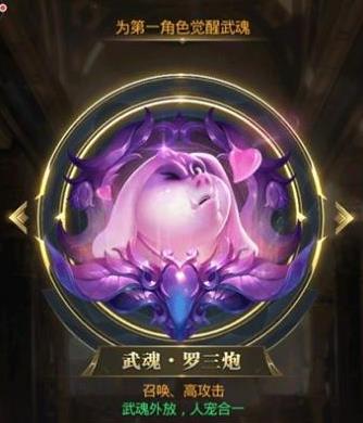 斗罗大陆觉醒武魂怎么选