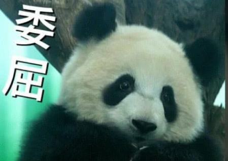 熊猫颜色反过来图片是什么梗