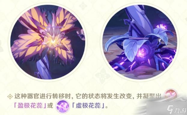 《原神》掣电树盈极花蕊破坏方法分享