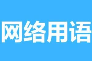 用一生治愈这几秒梗是什么详情