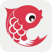 小鲤鱼育儿软件 v6.8.1 安卓版