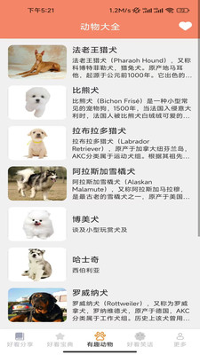 顶好看看 v2.7.5.3 手机版
