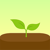 forest最新版 v4.79.2 安卓版