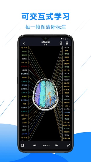 医学影像解剖图谱 v4.2.0 安卓版