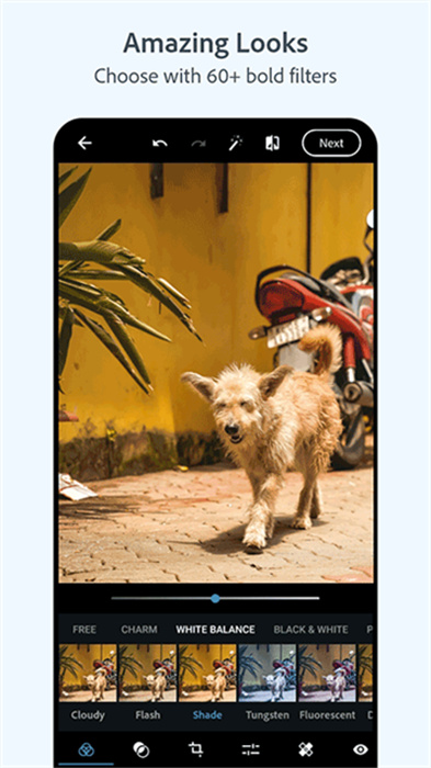 Photoshop Express v16.5.255 安卓版