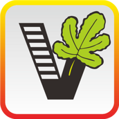 51自学网app(我要自学网) v1.10.6 安卓版