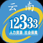 云南人社12333手机客户端(社保服务) v3.17 安卓版