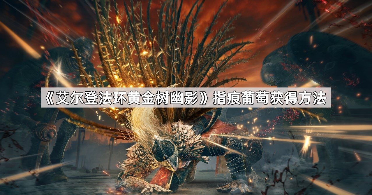 艾尔登法环黄金树幽影指痕葡萄怎么获得