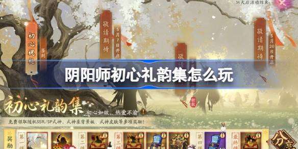 阴阳师初心礼韵集怎么玩-阴阳师初心礼韵集活动玩法
