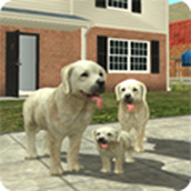 狗狗模拟器中文版 (Dog Sim Online)安卓版v213