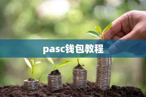 pasc钱包教程
