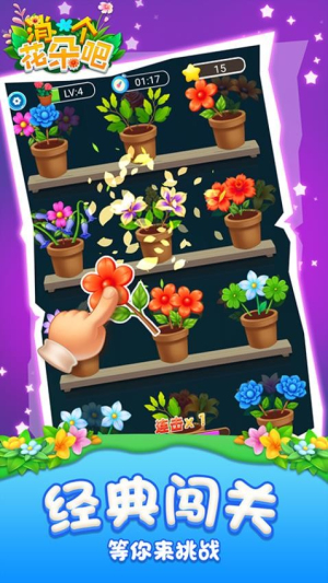 消个花朵吧