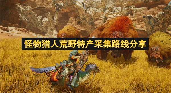怪物猎人荒野特产采集路线分享