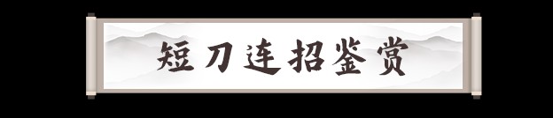 剑灵2手游职业推荐 全部职业技能介绍及推荐[多图]图片76