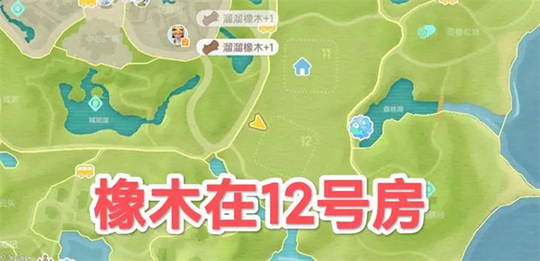 心动小镇5.9溜溜橡木与无瑕萤石位置