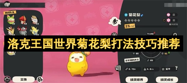 洛克王国世界菊花梨打法技巧推荐