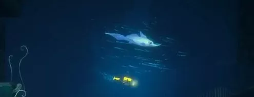 《潜水员戴夫》三齿鲨头位置怎么找