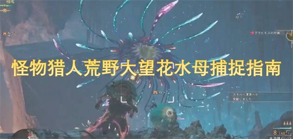 怪物猎人荒野大望花水母捕捉指南