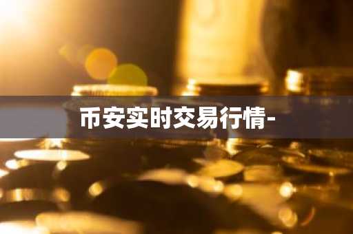币安实时交易行情 币安交易所行情介绍