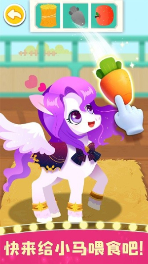 Pony Care Club