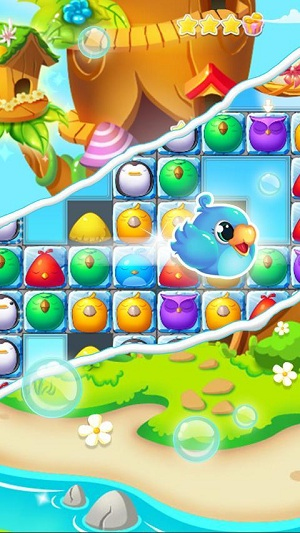 Bird Paradise