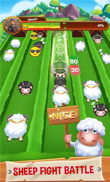 绵羊战斗Sheep Fight