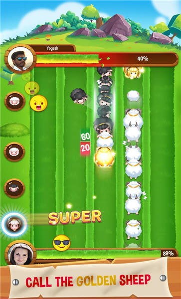 绵羊战斗Sheep Fight