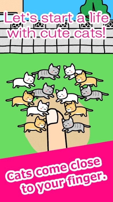 手指小猫