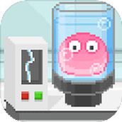 Jelly Inc.