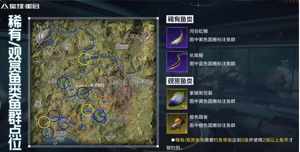 《星球重启》稀有鱼群点位怎样