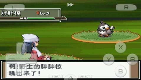 口袋妖怪白金493汉化版