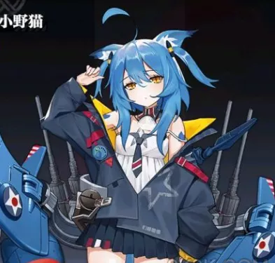 《零之战线》小野猫技能属性哪几种