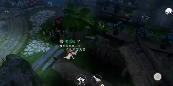 逆水寒手游灵谷狐踪奇遇完成的详细步骤