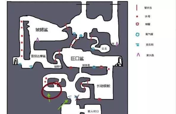 《潜水员戴夫》深海地图探索有什么
