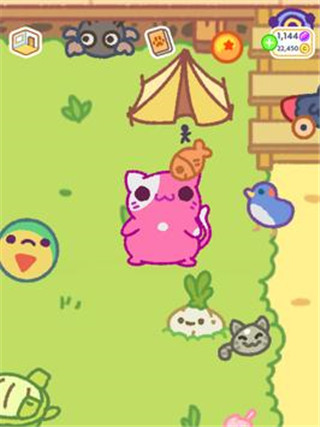 Klep2Cats