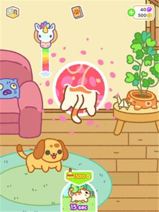 Klep2Cats