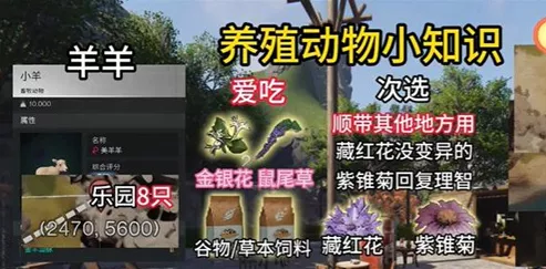 《七日世界》动物抓捕有什么