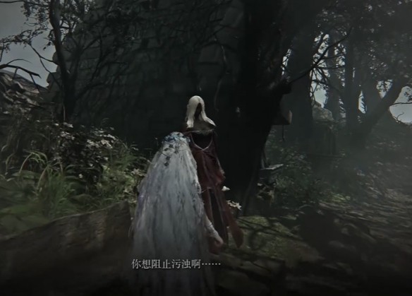 艾尔登法环黑夜君临攻略大全 全角色支线任务流程攻略[多图]图片76